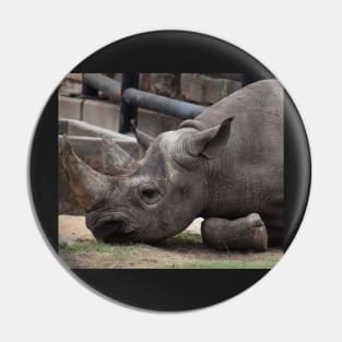 Black Rhino Pin