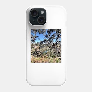 Nature in Bangor Phone Case