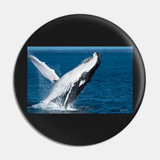 Whale of a time Pin