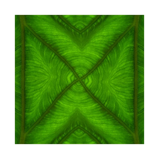 Banana leaf kaleidoscopic patterns. THREE by mister-john