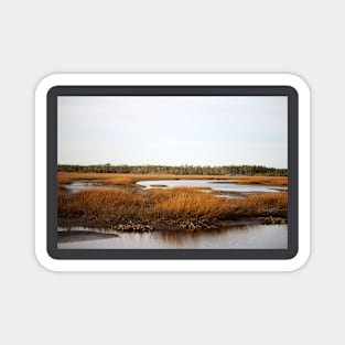 Oyster Beds Magnet