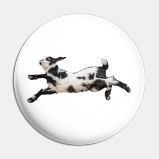 Bouncing Baby Goat 4 Pin