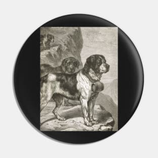 St Bernard Dogs with Brandy Barrels 1889 illustration Pin