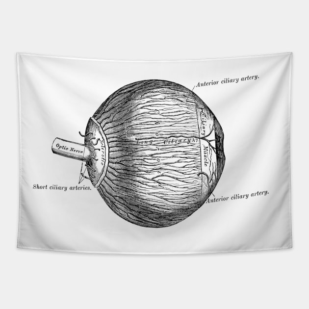 Human Eyeball Tapestry by be yourself. design