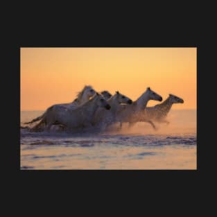 Horses Running through Ocean T-Shirt