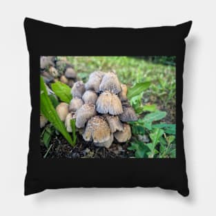 Forest Mushrooms in the Grass Pillow