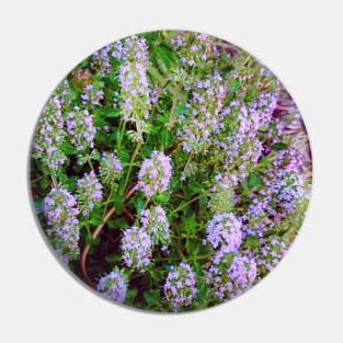 Flowering Thyme Plant Pin