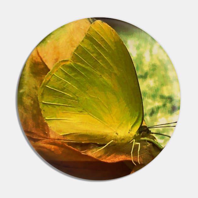 Yellow Butterfly Impressionism Pin by City1221