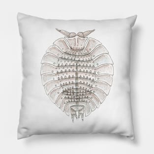 Coatonia phylloniscoides Isopod Pillow