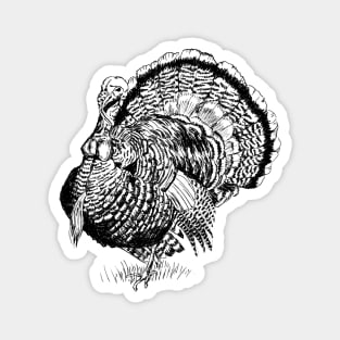 Wild Turkey Print Magnet