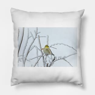 American Goldfinch on a Snowy Day by Debra Martz Pillow