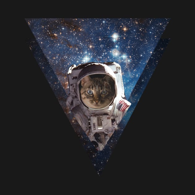 Astronaut Space Cat in Galaxy by Bluepress