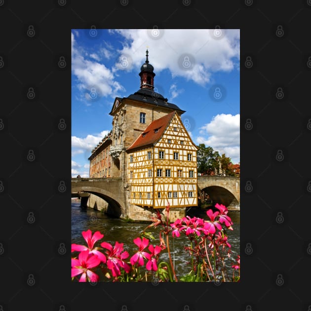 Old Rathaus - Bamberg, Germany (2) by Bierman9