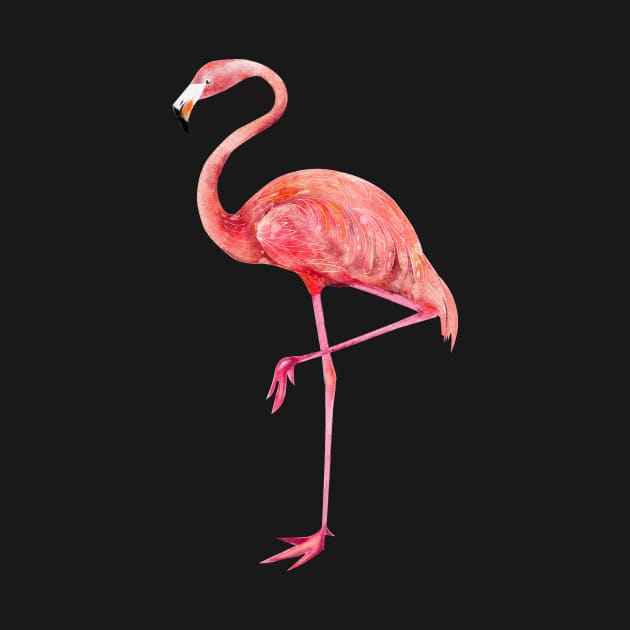 Flamingo by Jkinkwell