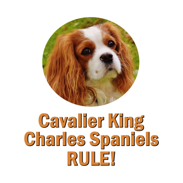 Cavalier King Charles Spaniels Rule! by Naves