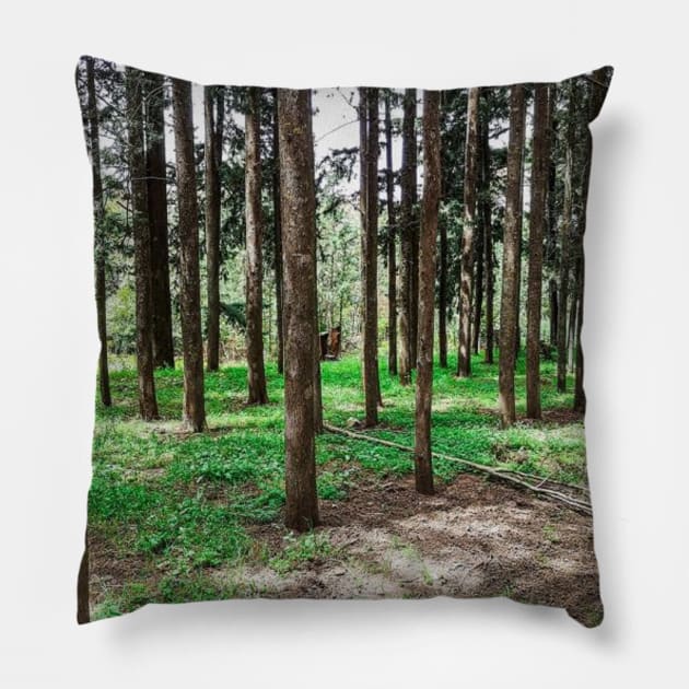 Lost in the woods Pillow by GRKiT