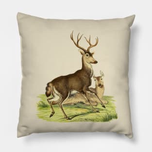 Deers Illustration Pillow