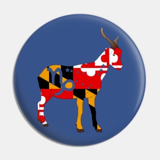 Capricorn 1 (Maryland) Pin