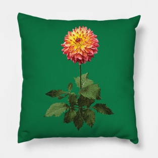 Dahlia Normandy Zachery Pillow