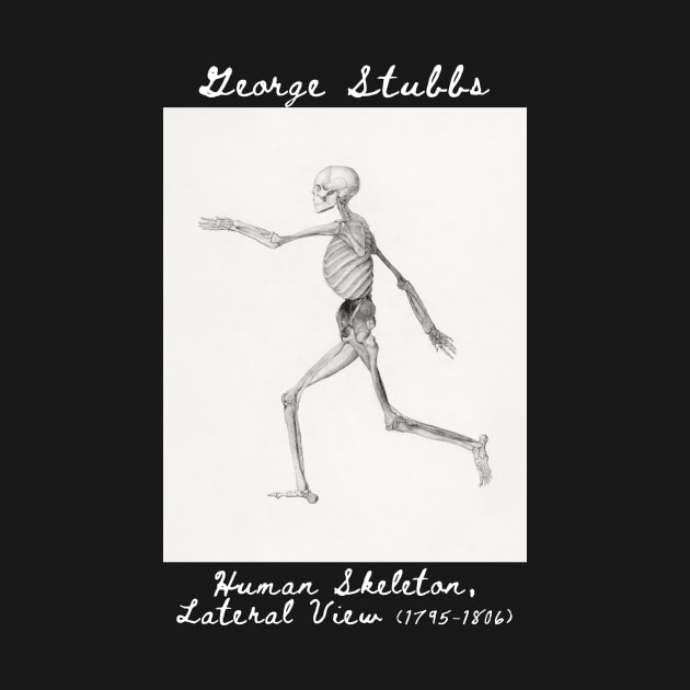 Human Skeleton, Lateral View, George Stubbs by theartdisclosure