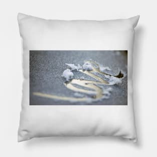Frosted Love Pillow