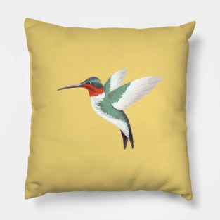 Hummingbird Pillow