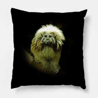 Cotton-top tamarin Pillow