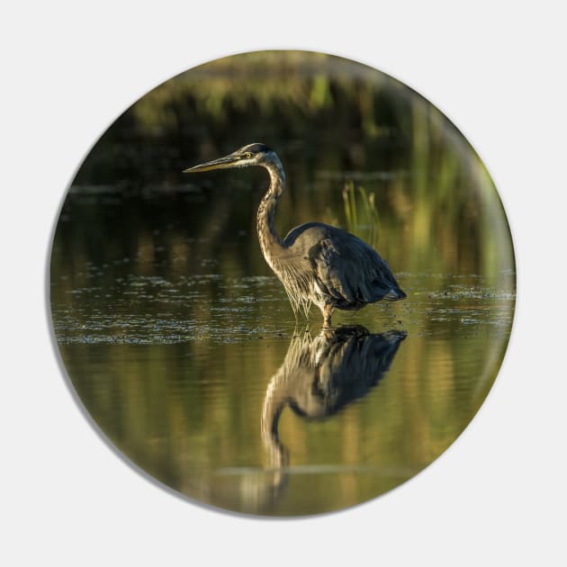 Blue Heron Pin by jaydee1400