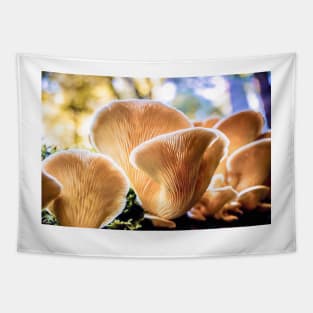 Wild mushrooms Tapestry