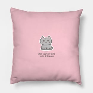 Don't Touch My Paws Pillow