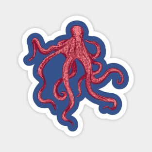 Hand Drawn Octopus Magnet