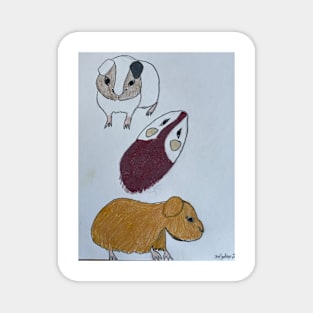 The Three Guinea Pigs Magnet