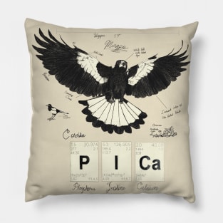 noun Pica: Commonly known as the Magpie Pillow