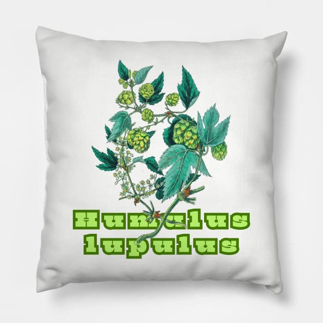 Hops. Humulus lupulus Pillow by SwagOMart