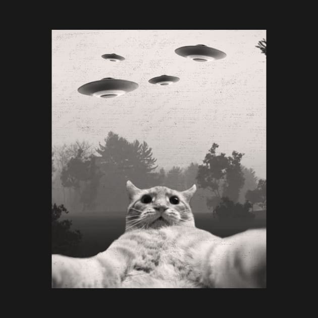 Funny Cat Selfie with UFOs by larfly