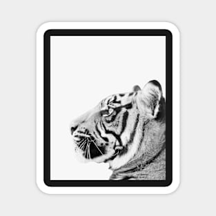 Minimal Tiger print Magnet