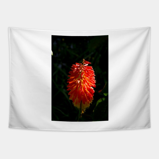 alb torch Tapestry by pcfyi