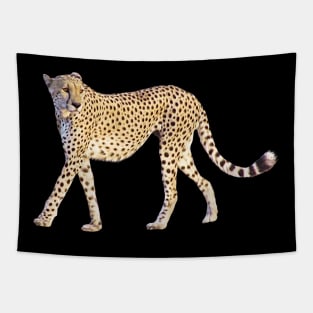 Cheetah - Big Cat - Predator - Africa Tapestry