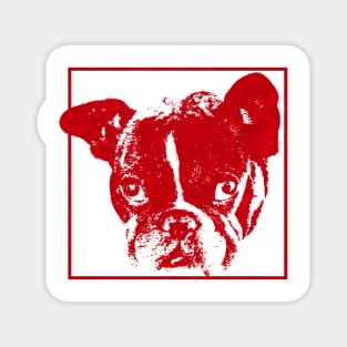 boston terrier / french bulldog red outline Magnet