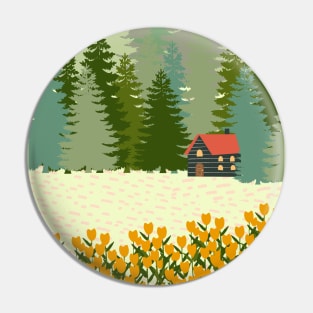 Little house in the big woods Pin