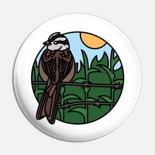White Crowned Sparrow Pin