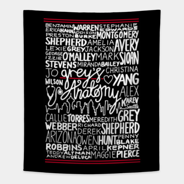 Greys Anatomy Tapestry 2024 canal1 .ar