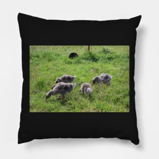 Baby Geese Pillow