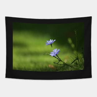 Chicory Tapestry