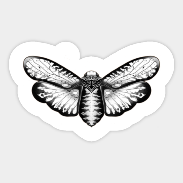 moth - Moth - Sticker