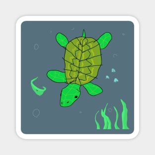 Turtley Magnet