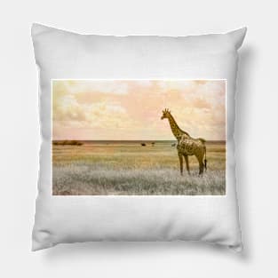 Day Dreaming Pillow