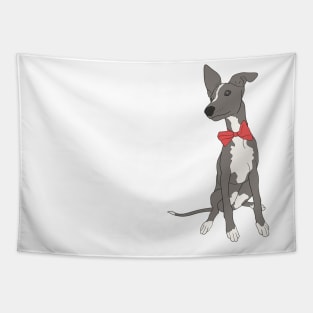 Cute Grey Italian Greyhound with bright pink bow Tapestry