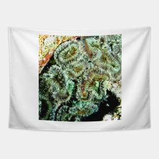 Green Sea Anemone Tapestry