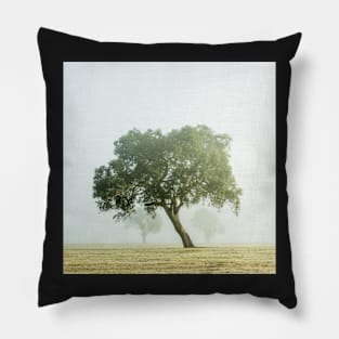 Near Mansfield there leans a tree. Pillow